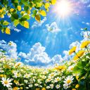 field-in-flowers-sun-shining-on-a-leaf-sky-in-small-clouds-many-colors-joy-rearno-photographic_281829.jpeg